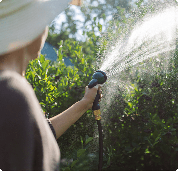 Person watering plants with garden hose